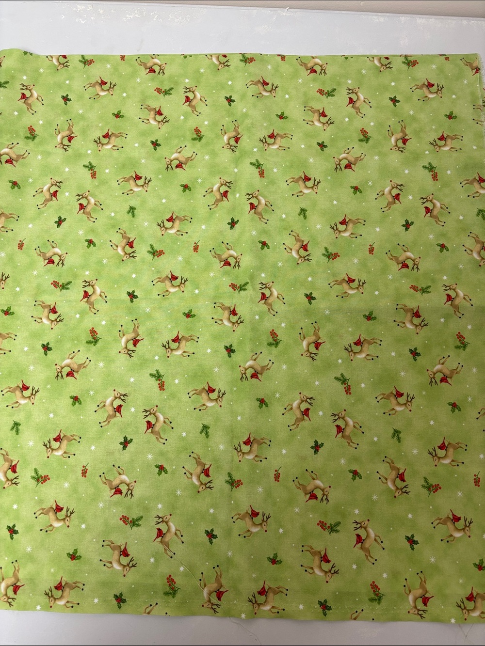 1 metre of fabric